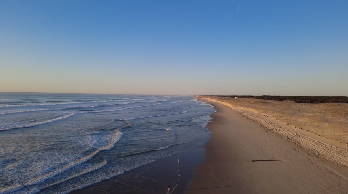 Apprendre à surfer dans les Landes